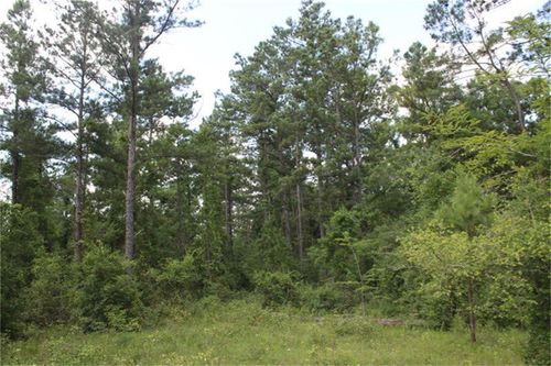 10182 County Road 208, Anderson, TX, 77830 | Card Image