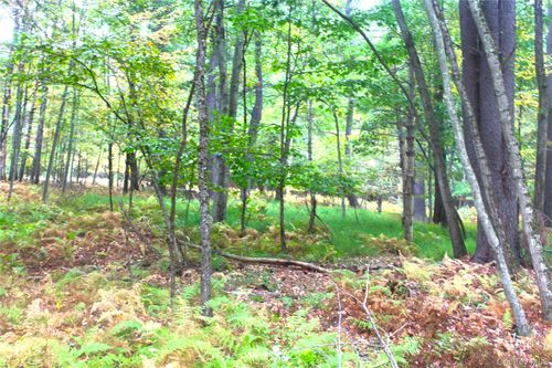 2 Evergreen Ln, Narrowsburg, NY, 12764-5807 | Card Image