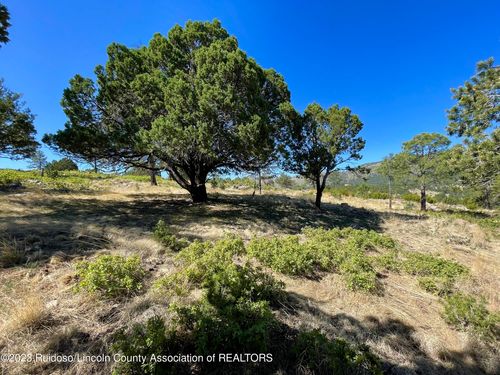 16 Buggy Lane, Nogal, NM, 88341 | Card Image