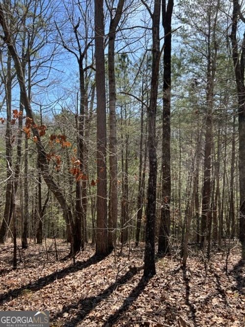 LOT 4 Hunter Rdg, Ellijay, GA, 30540 | Card Image