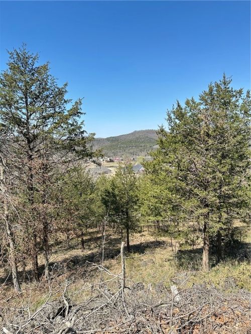 9 Quail Run Ln, Holiday Island, AR, 72631-4514 | Card Image