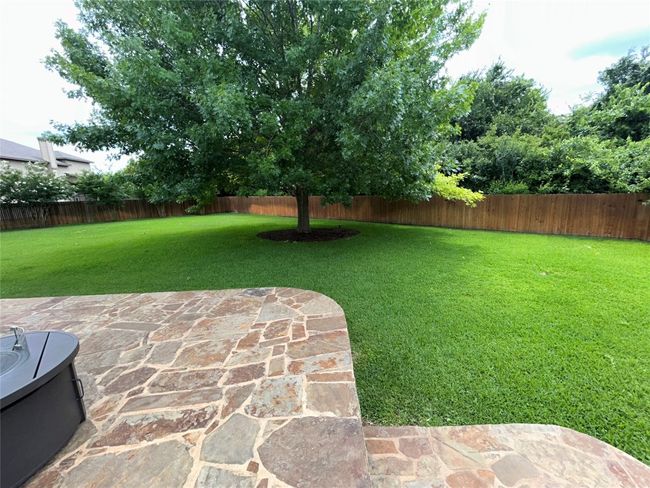 View of yard with a patio | Image 24