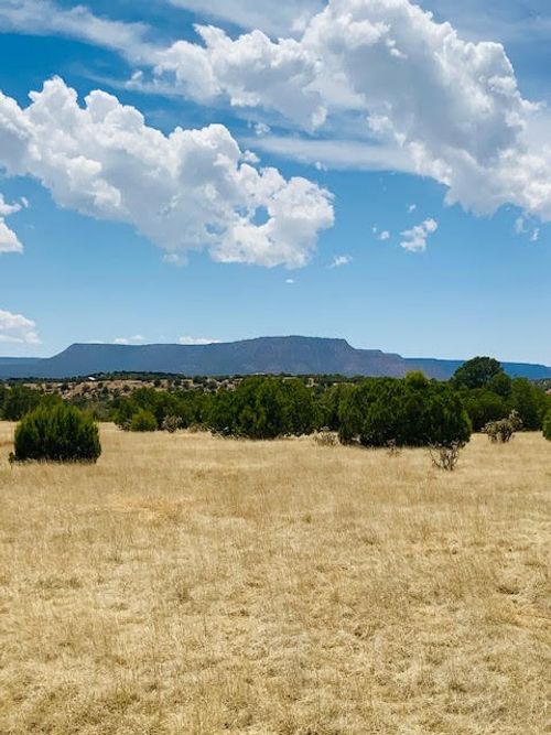 16.03 acres County Road B55, Ribera, NM, 87565 | Card Image