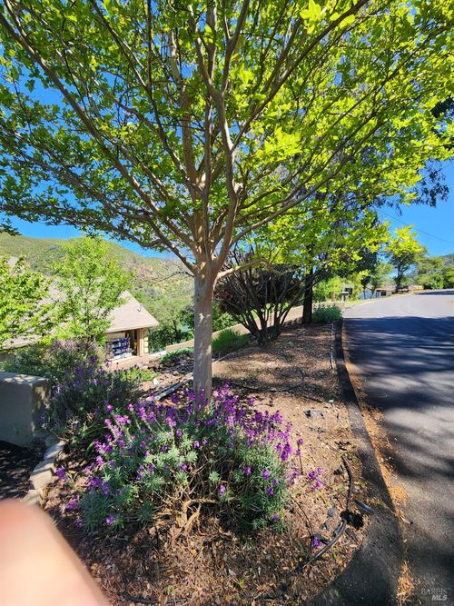 1060 Deputy Dr, Pope Valley, CA, 94567-9429 | Card Image