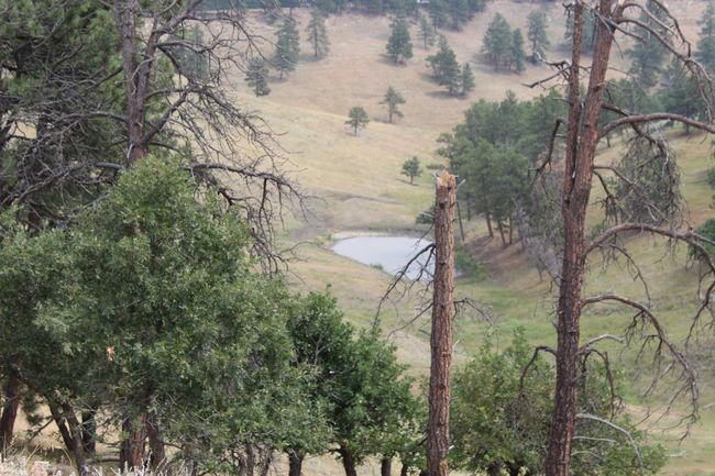 371 New Haven Rd, Home with 0 bedrooms, 0 bathrooms and null parking in Hulett WY | Image 16
