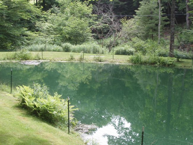 299 Campbell Rd, House other with 0 bedrooms, 0 bathrooms and null parking in Sandgate VT | Image 20