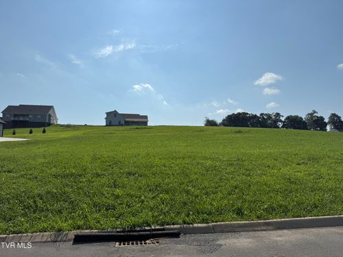 49 Unlce Buddy'S Way, Jonesborough, TN, 37659 | Card Image