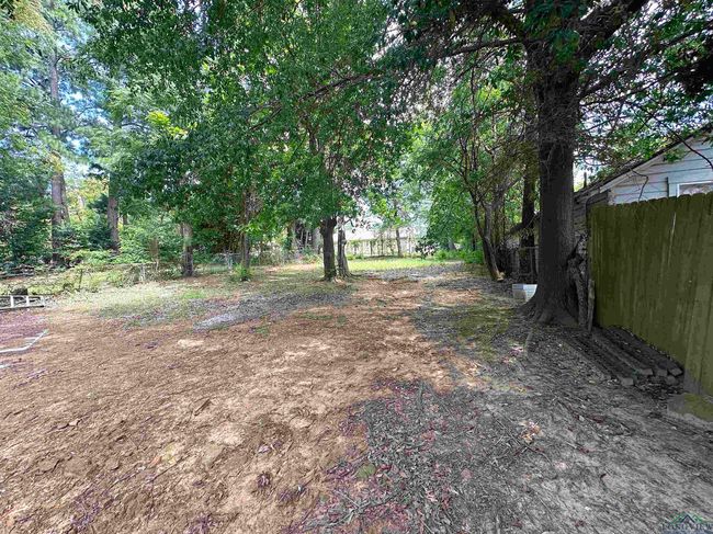 1409 W 3 Rd St, House other with 2 bedrooms, 1 bathrooms and null parking in Tyler TX | Image 22