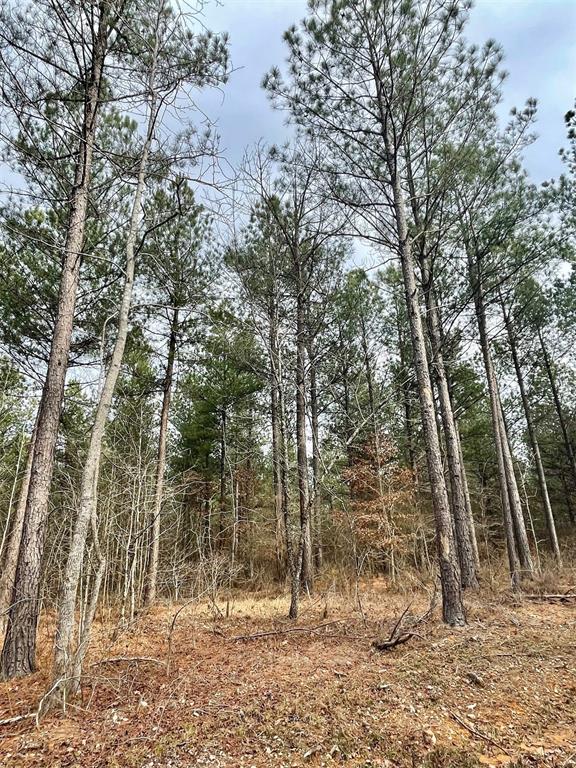 Land in Broken Bow 3