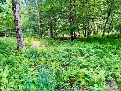 0 Callicoon Rd, Damascus, PA, 18415 | Card Image