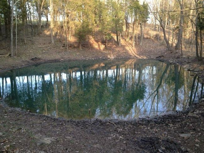 8266 State Highway 262, Home with 0 bedrooms, 0 bathrooms and null parking in Dillsboro IN | Image 14
