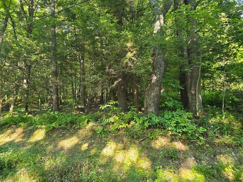 0 Legate Hill Rd, Charlemont, MA, 01339 | Card Image