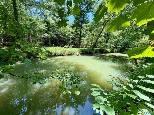 126 AC County Road 97, Gaylesville, AL, 35973 | Card Image