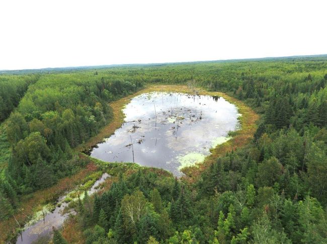 26, 555 sq yard pond | Image 15
