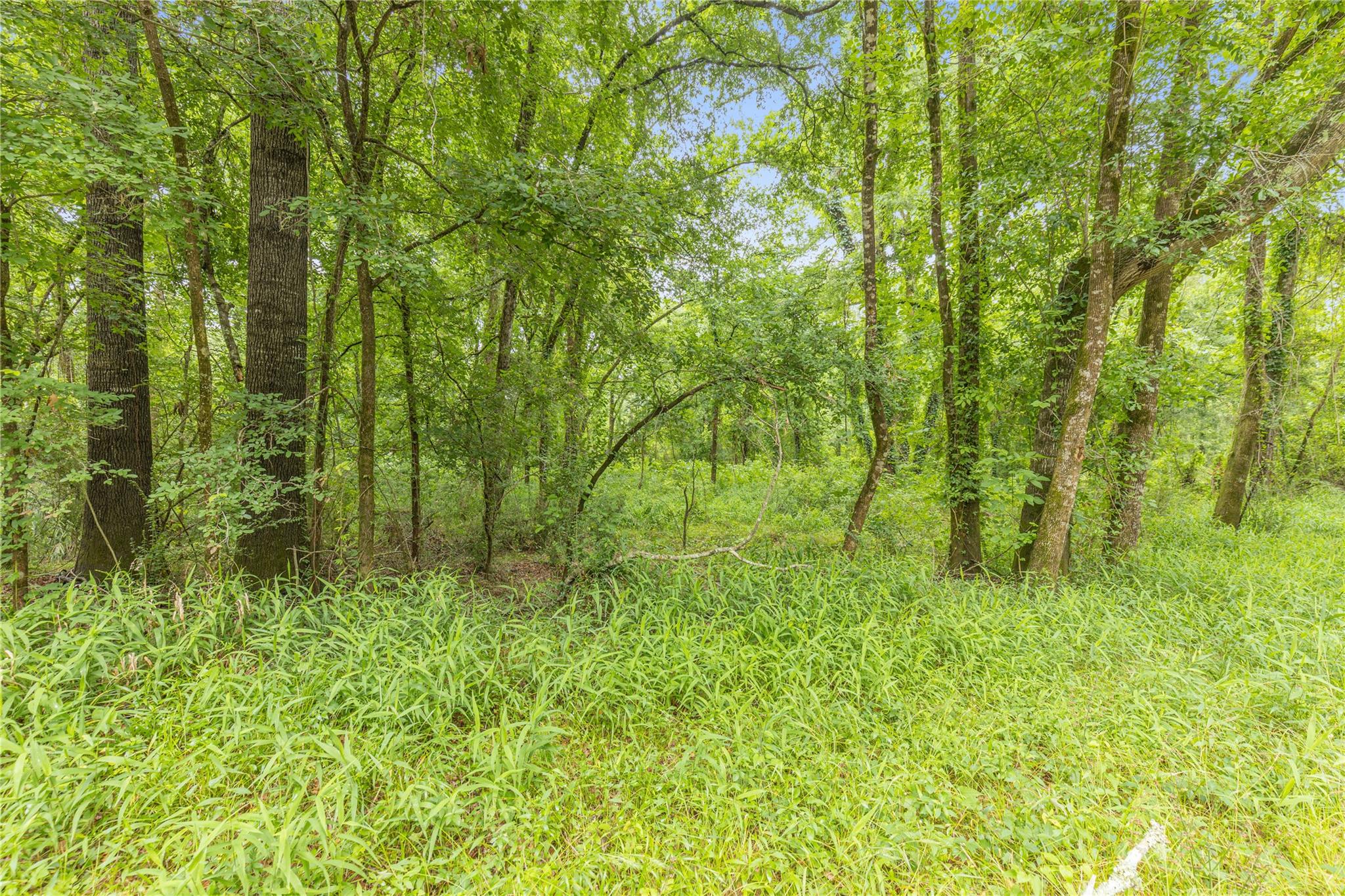Land in Conroe 5