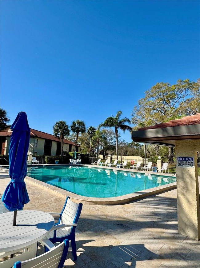 Community pool | Image 6
