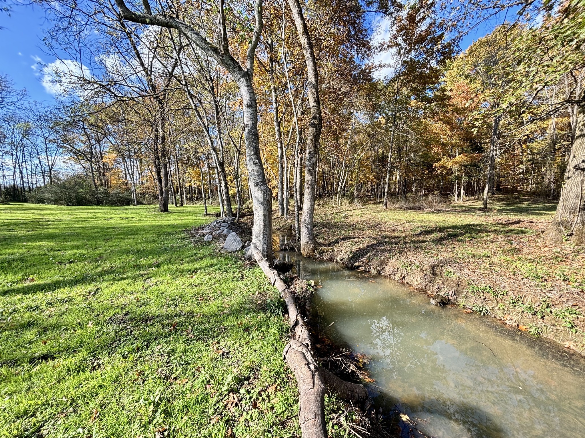 Land in Spring Hill 5
