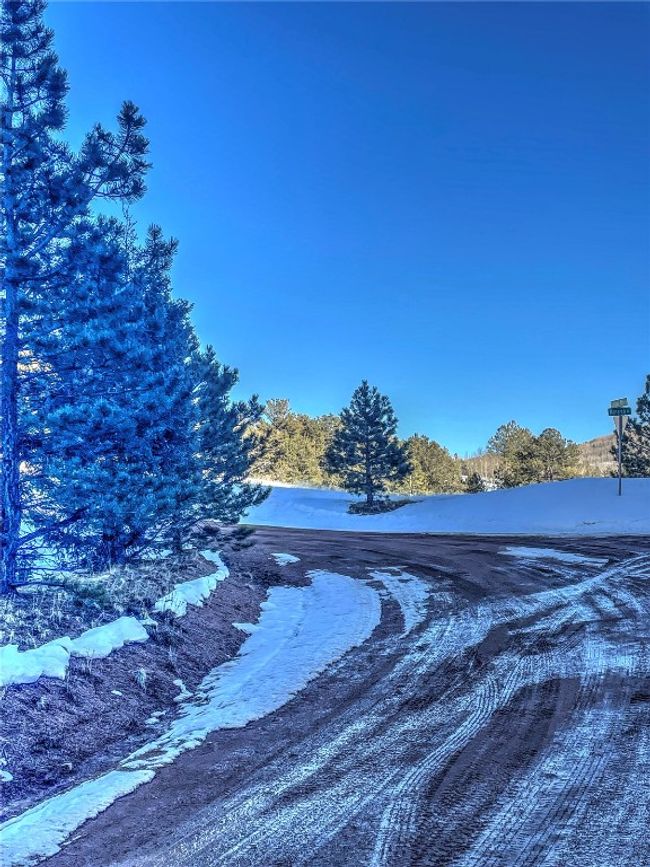1174 Monarch Dr, Home with 0 bedrooms, 0 bathrooms and null parking in Cripple Creek CO | Image 17
