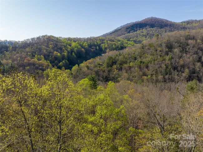 9999 Wayehutta Rd, Home with 0 bedrooms, 0 bathrooms and null parking in Cullowhee NC | Image 8