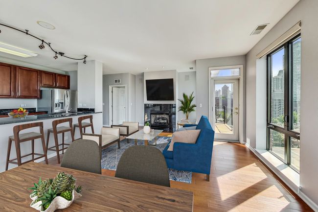 APT-709 - 343 W Old Town Ct, Condo with 2 bedrooms, 2 bathrooms and 1 parking in CHICAGO IL | Image 9