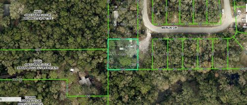4809 Merlin Cir, RIDGE MANOR, FL, 33523-9127 | Card Image
