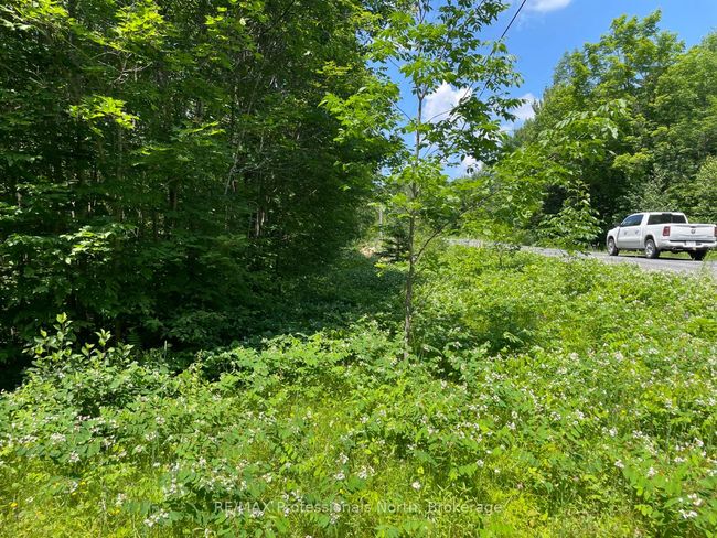 0 Glamor Lake Rd, Home with 0 bedrooms, 0 bathrooms and null parking in Gooderham ON | Image 10