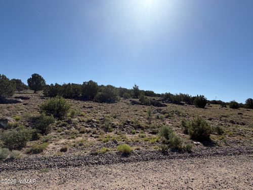 Lot 49 Windsor Valley Ranch Drive, Concho, AZ, 85924 | Card Image