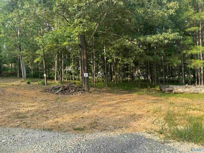 LOT-65 - 1725 County Road 182, Home with 0 bedrooms, 0 bathrooms and null parking in Cedar Bluff AL | Image 1