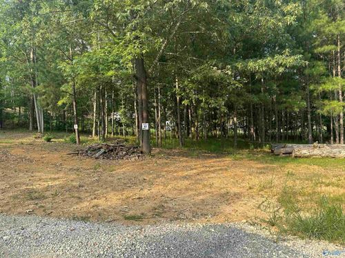 lot-65-1725 County Road 182, Cedar Bluff, AL, 35959 | Card Image