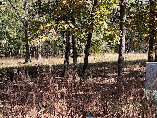 Land in Broken Bow 2