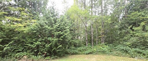 0 Alder Pl, Elma, WA, 98541 | Card Image