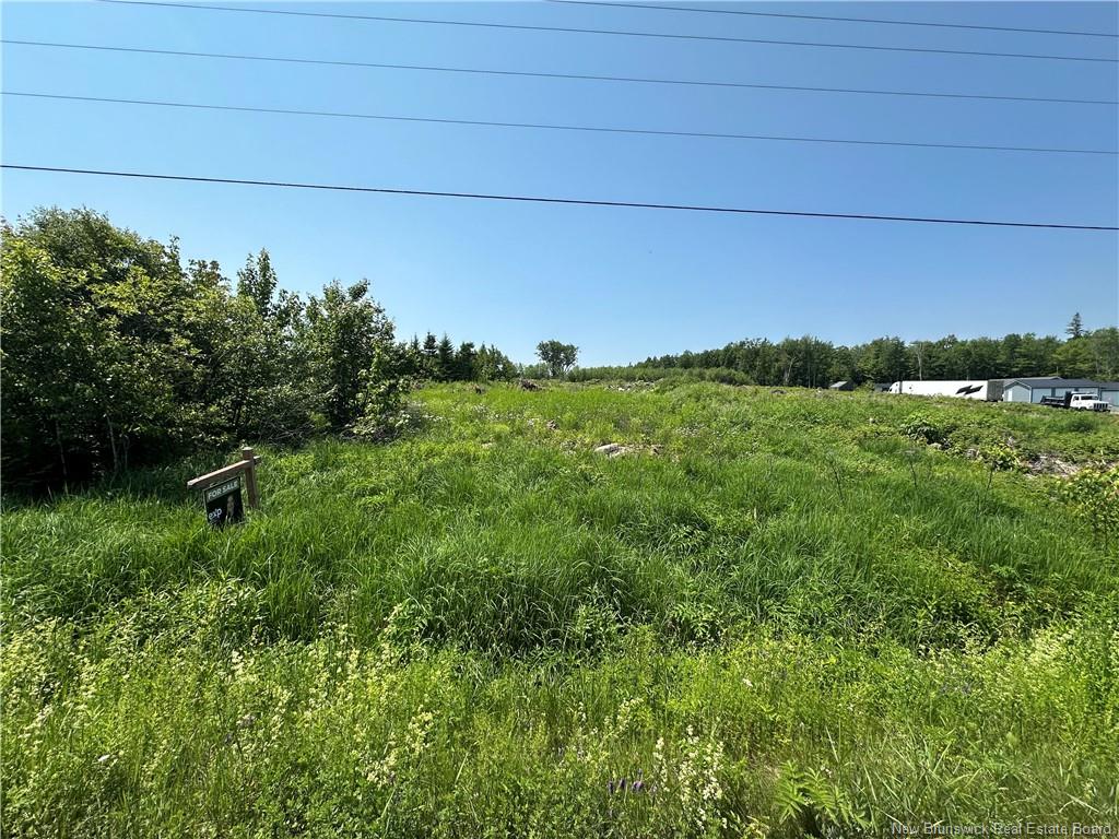Land in Hamtown Corner 3