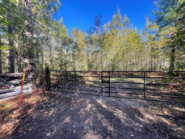 10544 N Lazy Ln, House other with 4 bedrooms, 1 bathrooms and null parking in Bitely MI | Image 17
