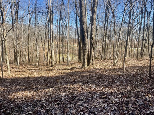 80 High Point Ln, Home with 0 bedrooms, 0 bathrooms and null parking in Jasper TN | Image 110