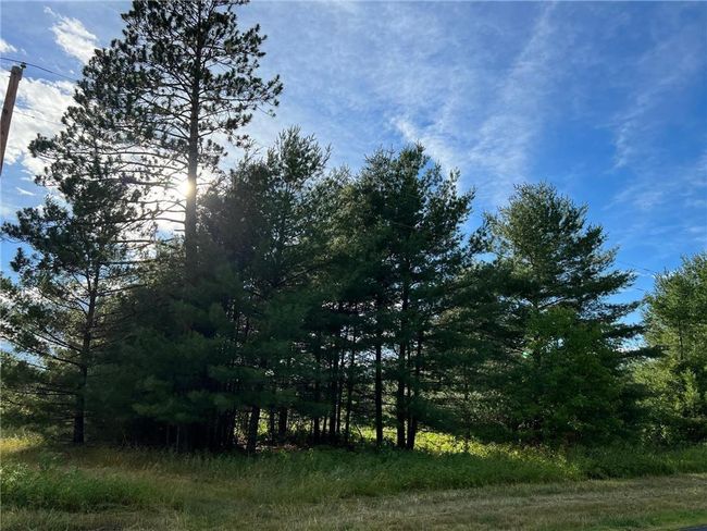 W39XX Frog Creek Rd, Home with 0 bedrooms, 0 bathrooms and null parking in MINONG WI | Image 19