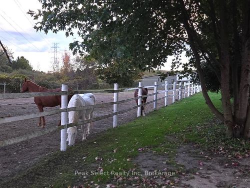 20076 Cherryhill Rd, Thames Centre, ON, N0M2M0 | Card Image