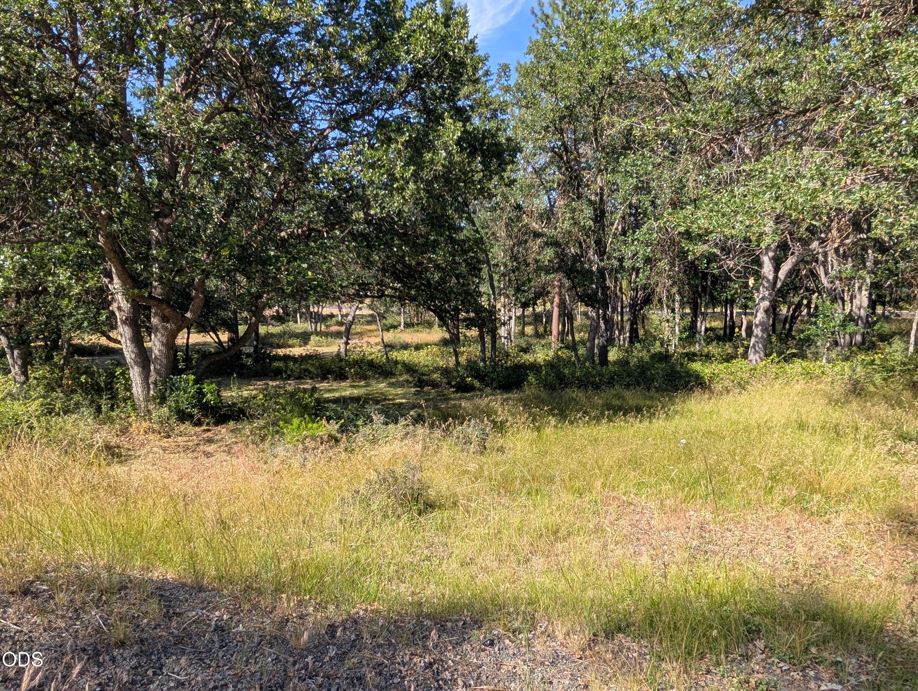 Land in Klamath Falls 2