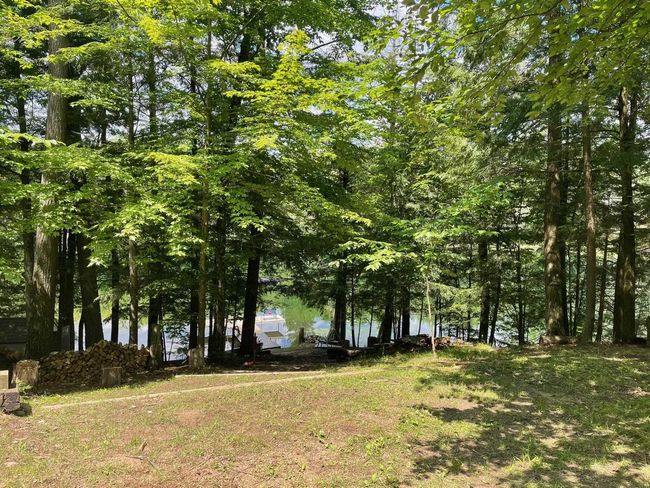 17235 Little Archibald Road, House other with 3 bedrooms, 2 bathrooms and null parking in TOWNSEND WI | Image 16
