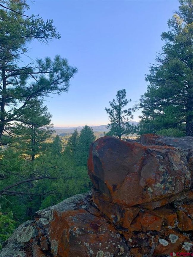 201 Pineview Rd, Home with 0 bedrooms, 0 bathrooms and null parking in Pagosa Springs CO | Image 42