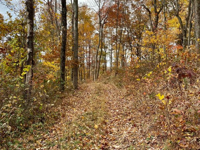 0 Revenge Rd Sw, Home with 0 bedrooms, 0 bathrooms and null parking in Lancaster OH | Image 9