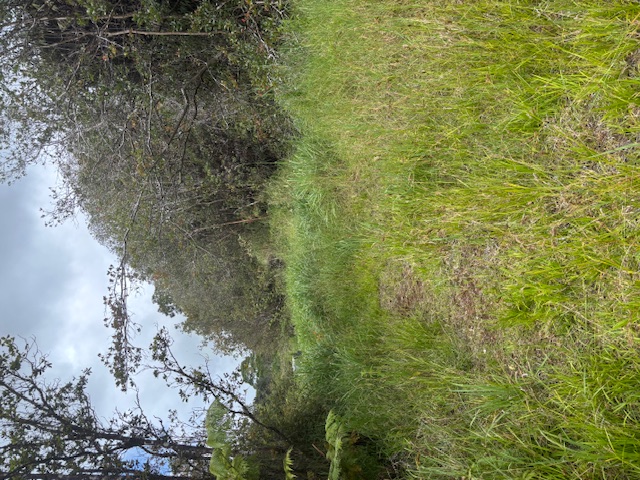 Land in Volcano 5