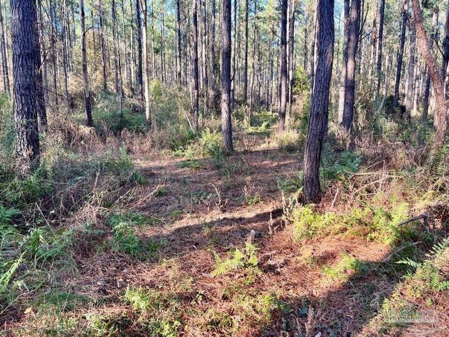 Lot 2-RS Hwy 182, Home with 0 bedrooms, 0 bathrooms and null parking in Jay FL | Image 9