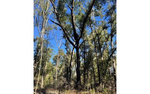 LOT41 Sw 77th Blvd, Jasper, FL, 32052 | Card Image