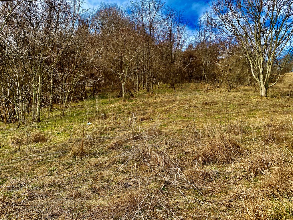 Land in Marion