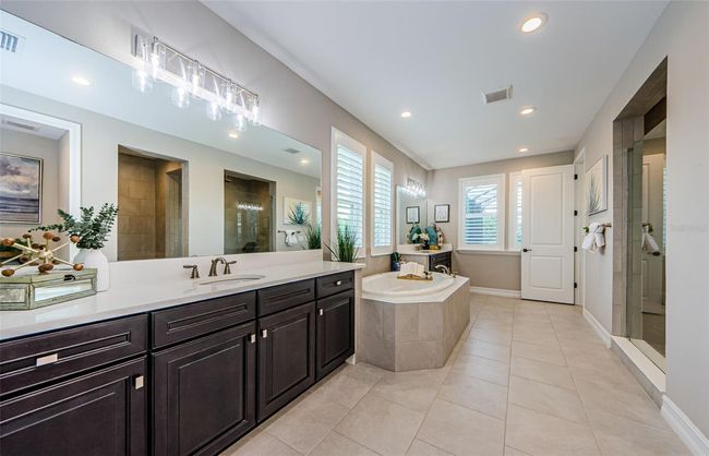 29038 Picana Ln, House other with 4 bedrooms, 4 bathrooms and null parking in WESLEY CHAPEL FL | Image 41