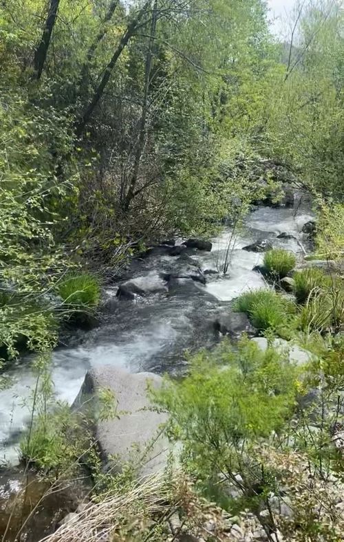 11655 Casa Grande Ln, Middletown, CA, 95461 | Card Image