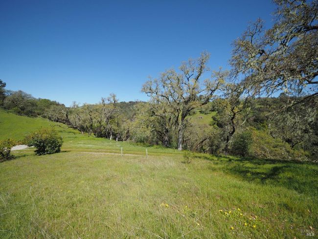 23655 Vineyard Rd, Home with 0 bedrooms, 0 bathrooms and null parking in Geyserville CA | Image 13