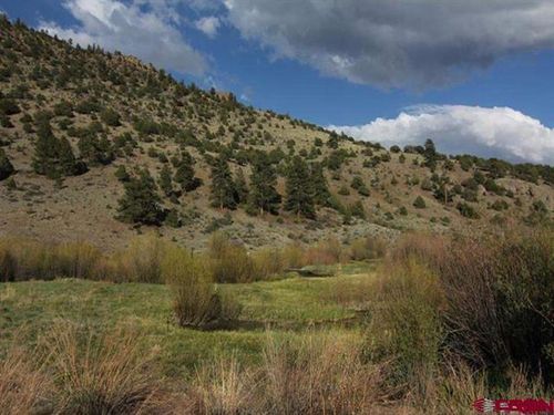 80 N Alder Creek Ln, South Fork, CO, 81154-8040 | Card Image