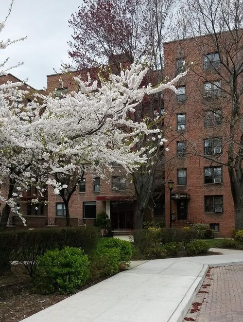 apt-4g-150 72nd Rd, Flushing, NY, 11367-2130 | Card Image