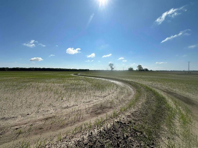 0 Ukena Rd, Home with 0 bedrooms, 0 bathrooms and null parking in Weiner AR | Image 22